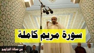 سورة مريم كاملة من صلاة التراويح بمسجد شالة بالرباط | علي عبيد