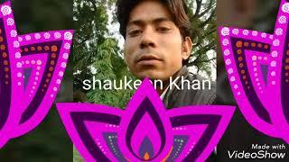 Shaukeen Khan photo video2