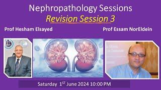 Nephropathology Revision 3