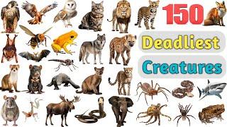 Deadliest Creatures Vocabulary ll 150 Deadliest Animals Name In English With Pictures ll Animals