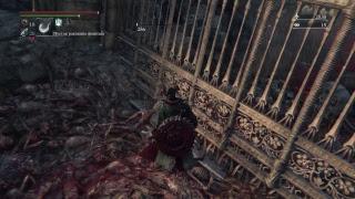 Bloodborne. Прохождение 42. DLC. Людвиг ( Ludwig the Accursed & Ludwig, The Holy Blade)