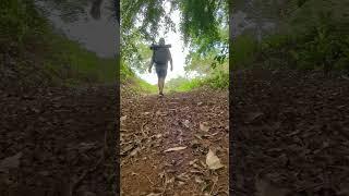 Hiking in my "Backyard"  #Kauai #shorts #Hawaii #backpacking  #dayhike#shortsreels