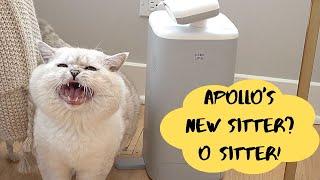 High-tech cat news! O Sitter ROBOT by HHOLOVE feeds and plays with cats instead of you!