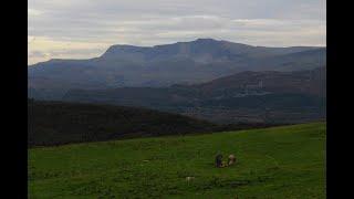 Cerrig Arthur Stone Circle, near Barmouth, Gwynedd  (SH631188 )