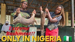 SHOCKING : What NIGERIANS  Eat will blow your mind !! Extreme Bushmeat