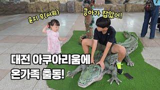 대전 아쿠아리움에 온가족 출동 #가족브이로그 #개성파삼남매