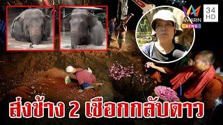 ฝัง "ฟ้าใส-พลอยทอง" 2 ช้างดับสังเวยน้ำป่าถล่มเชียงใหม่ | ทุบโต๊ะข่าว | 6/10/67