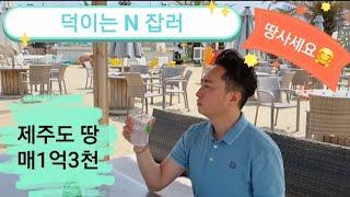 제주도 땅 보러가요. (제주도 땅 토지 매매 N잡러 귀농 집짓기)