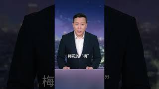 女人名字中有这几个字的，大多很坚强#致所有的女人 #情感共鸣 #科普一下