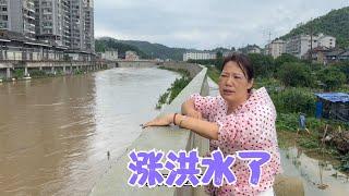 连续下了几天的雨，阿恋的家乡涨洪水了，和婆婆摘菜去卖减少损失