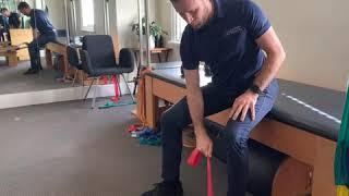 Resistance Band Bicep Curl