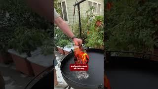 Garden To Grill - My Open Fire Cooking Journey #openfirecooking #gardentogrill #barebonesliving