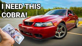 Buying a 2003 Ford Mustang Terminator Cobra Drift Car after selling all of my stuff