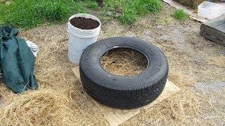 Experiment To Determine If Growing In Tires Is Toxic