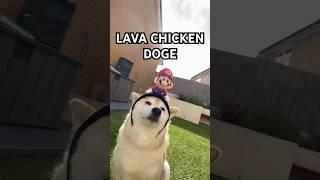LAVA CHICKEN. DOGE. #cutenessoverload