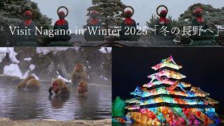 Snow monkeys bathing in hot springs, Zenkoji Temple, Matsumoto Castle projection mapping!