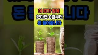 이 띠가 집에 있다면 6월부터 돈 들어옵니다 #명언 #긍정의말 # #좋은글#지혜