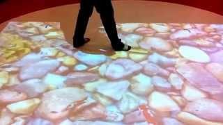 Interactive Floor Projection Systems