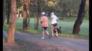 Westies Joggers Four Seasons Race Summer