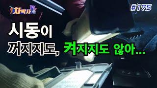 차박사TV_175회, 시동이 꺼지지도, 켜지지도 않아.