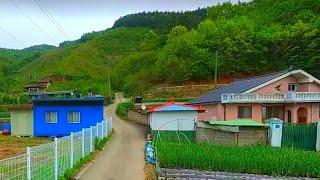 경매직전,넓은농원,땅,몽땅드려요~당1만2천원,체류형쉼터,컨테이너,호두나무,개복숭아,개나리,영산홍,헛깨나무,주말농장,임야,급매물부동산 매매,급매물과 반값매매/010-7923-3663