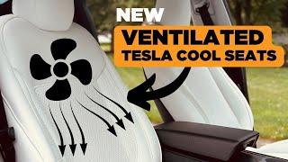 Yes, I got VENTILATED Tesla Seats for the Model Y #tlyard #tesla