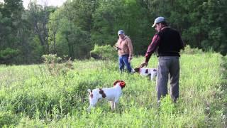 Brittany training with Gary Guz