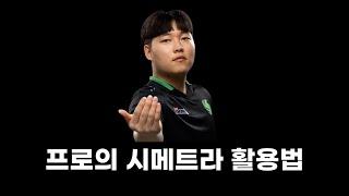 프로의 시메트라 활용법