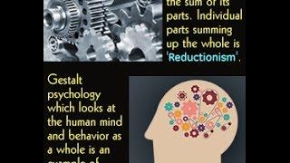 A Brief Overview and Comparison of Holism and Reductionism