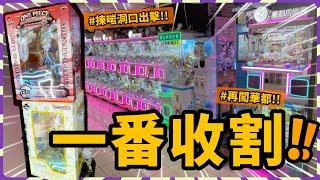 【香港夾公仔】一番賞收割！巡場｜屯門紅橋、華都商場｜吸角篤角出貨治癒感MAX！！