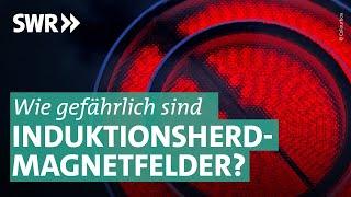 Induktionsherde als unterschätzte Gefahr? I Marktcheck SWR