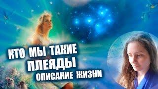 Плеяды  Кто Мы - Описание Жизни  Галактическая Федерация Света 