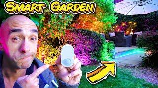 My Neighbours Can't Believe I Did This: Smart Garden