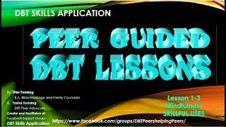 DBT Skills Application 1-8 Useful Skills