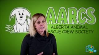 CIR REALTY & AARCS Charitable Partnership