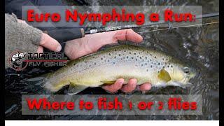 Euro Nymphing a Run: Where to Fish 1 or 2 Flies (Episode 4)