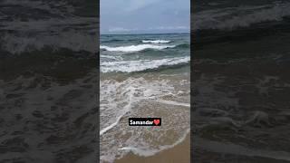 Dhanushkodi Beach #shorts #ytshorts #trending #viralvideo #sea