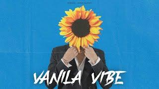 Vanila Vibe | Gursanj | Hammy Mangat | Latest Punjabi Songs 2024 | Pinkbeat Records