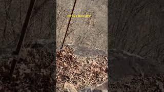 Hawks Nest WV #life #nature #lifeisbutadream
