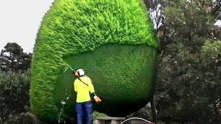 Satisfying Gardeners At Work You Can’t Stop Watching