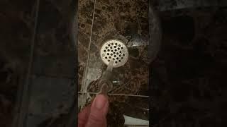 Sewer smell in bathrooms.