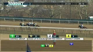 Control Group - 2018 - The Alex M  Robb Stakes