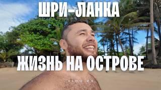 Жизнь на острове! Шри-Ланка не перестает удивлять...