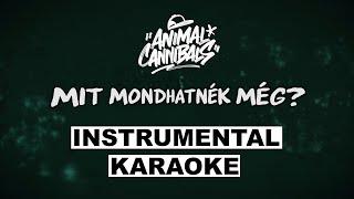 Animal Cannibals - Mit mondhatnék még? (instrumental / karaoke)