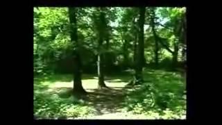Чудеса Корана   4  Научные феномены