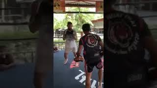 Хамзат Чимаев тренируется в Tiger Muay Thai. Тренировка на лапах