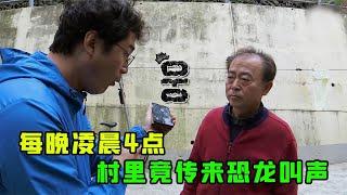 每到凌晨4点，村子里就会传来“恐龙”的叫声，什么情况？