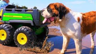 ЗАСТРЯЛИ в болоте с СОБАКОЙ или Car Stuck in the mud with DOG