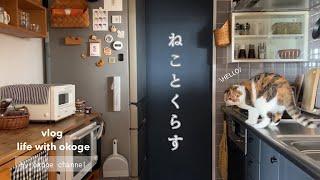 Daily life with cats starting with breakfast & kawaii items/Shrine with heart tree(Cat & life vlog)