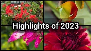 Freya's Tropical Garden - Highlights of 2023!